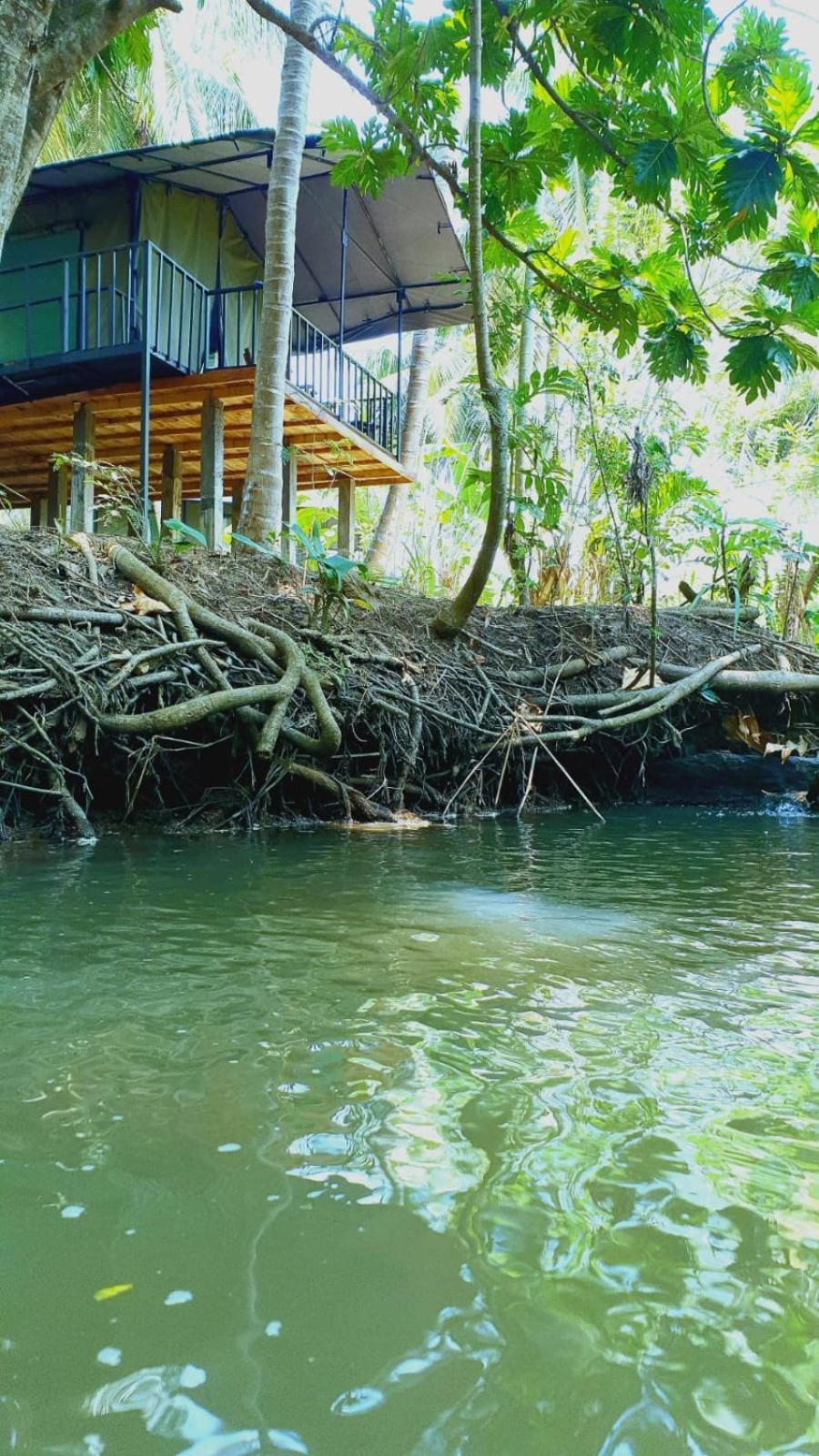 Coconut Camp Udawalawe Luxury tent Dematapelessa