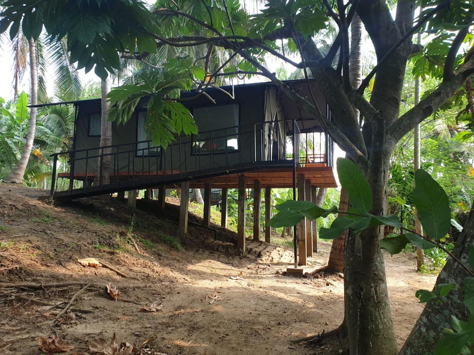Coconut Camp Udawalawe Luxury tent Dematapelessa