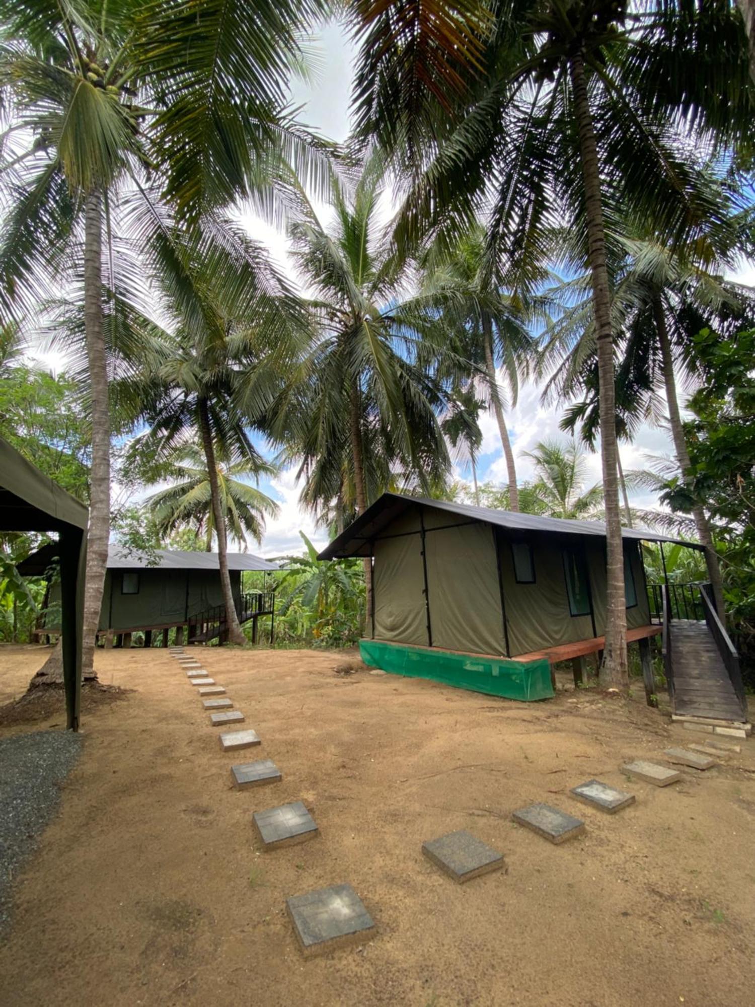 Coconut Camp Udawalawe Luxury tent Dematapelessa