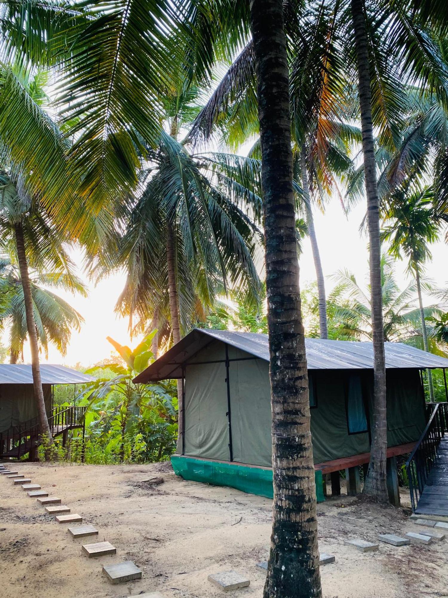 Luxury tent Coconut Camp Udawalawe *